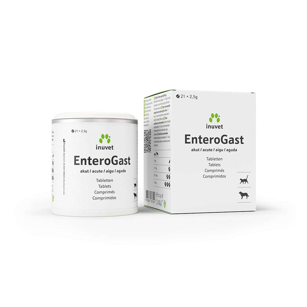EnteroGast Aigu Comprim s enterogast-aigu-comprim-s