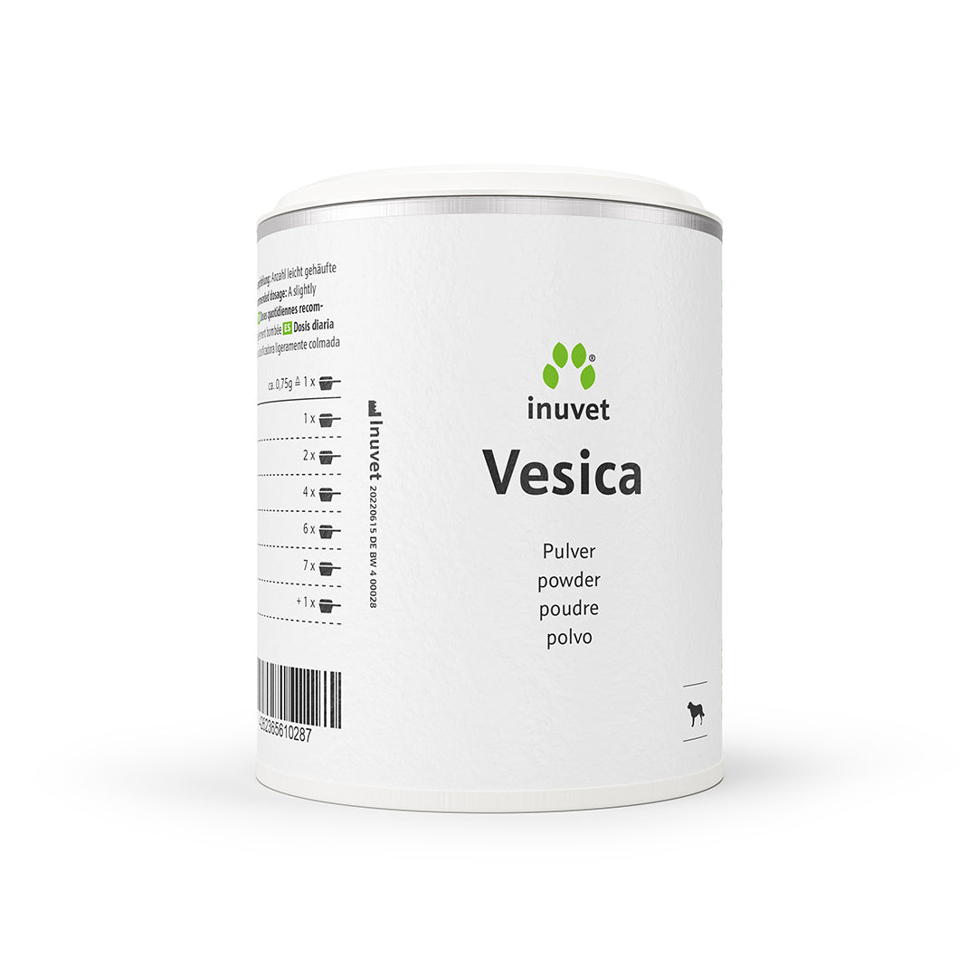 Vesica powder