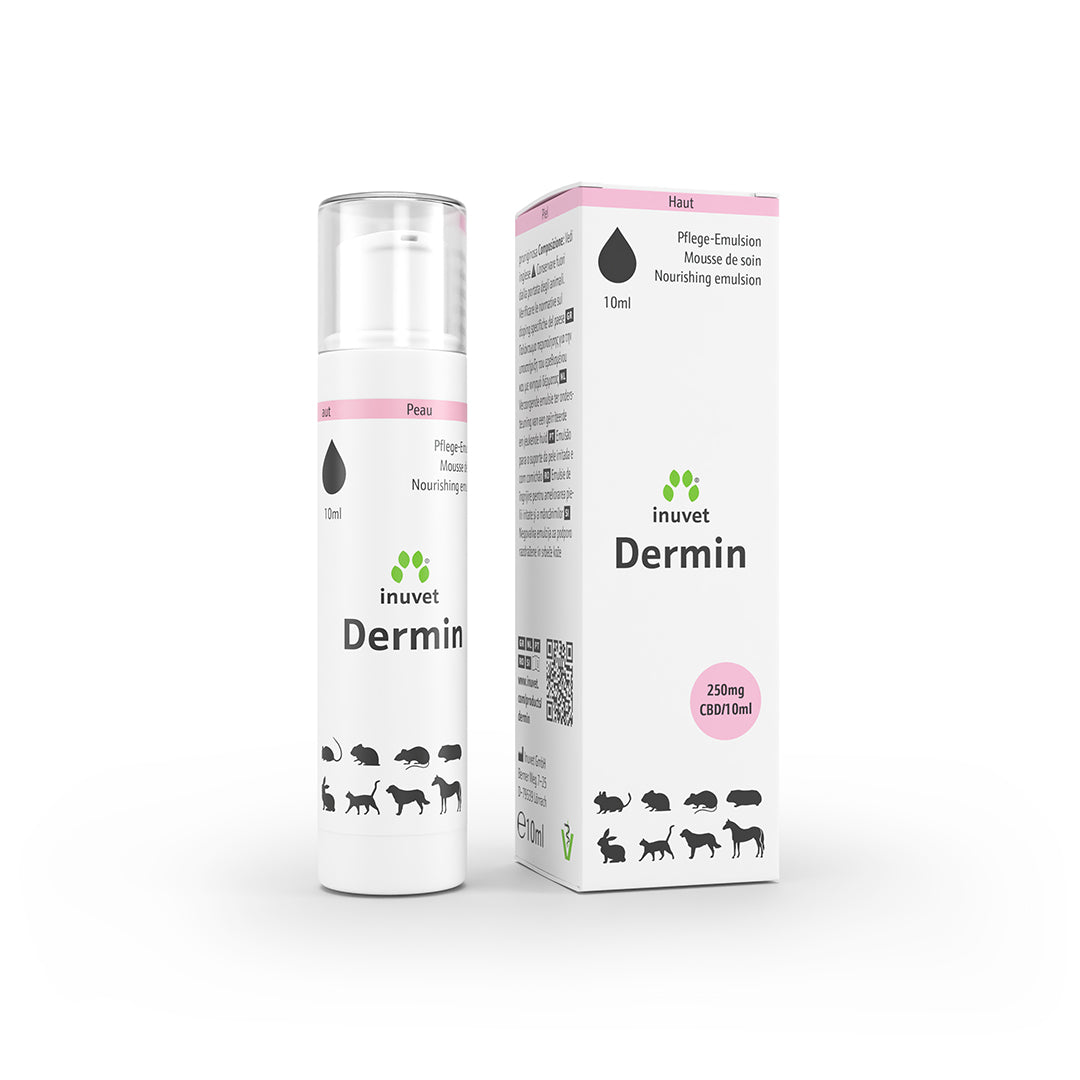 Dermin Pflege-Emulsion