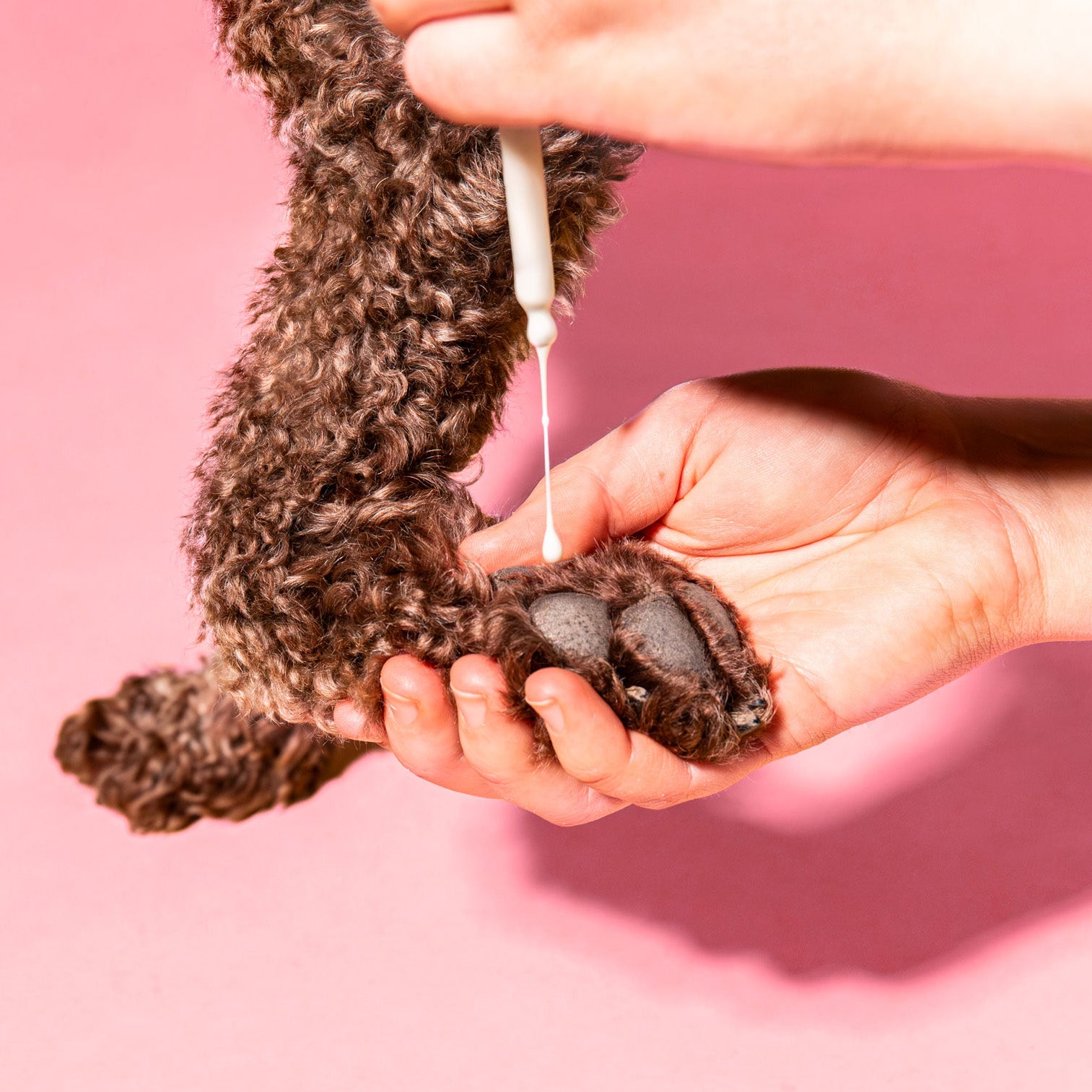 Dermin Pflege-Emulsion