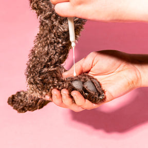 Dermin Pflege-Emulsion