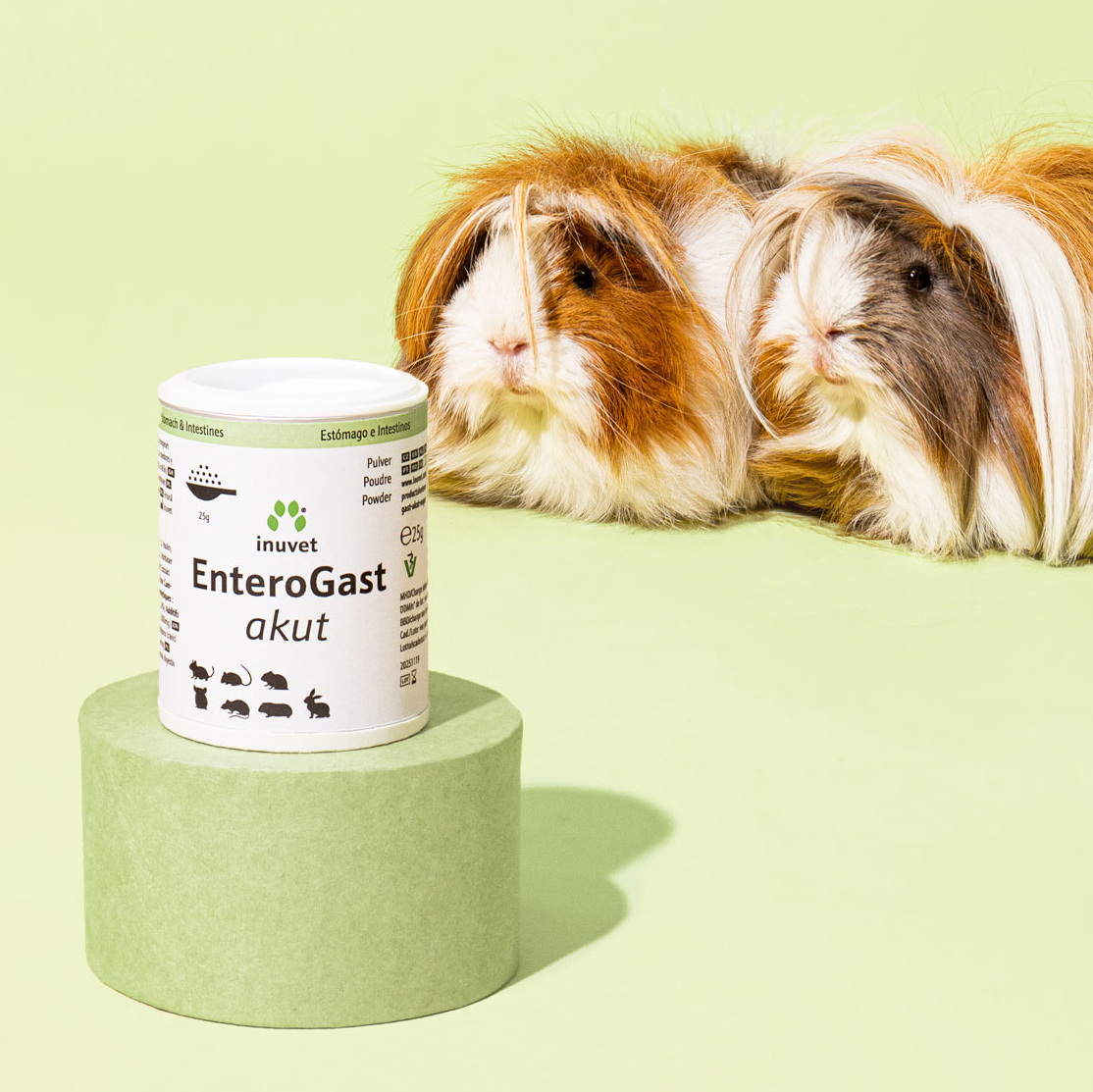 EnteroGast agudo