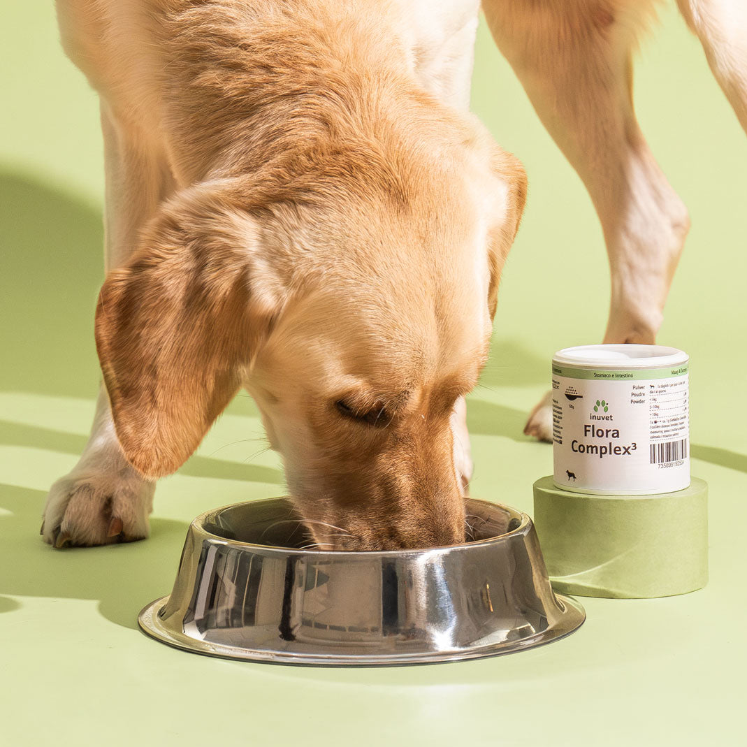 フローラ コンプレックス³