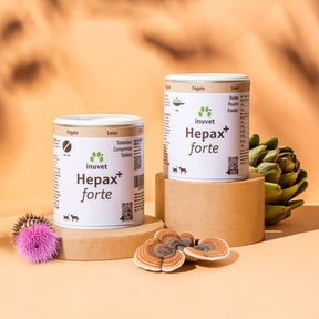 Hepax+ Tabletten