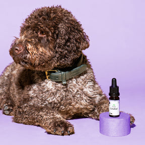 Lindiol aceite de cuidado