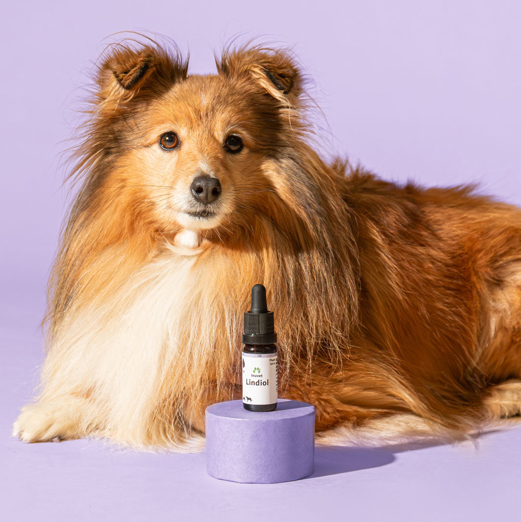 Lindiol Pflegeöl