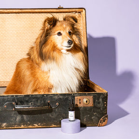 Travel huile de soin